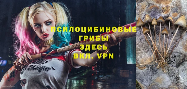 экстази Кукмор
