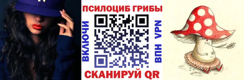 Галлюциногенные грибы GOLDEN TEACHER  Купить где  Ставрополь 