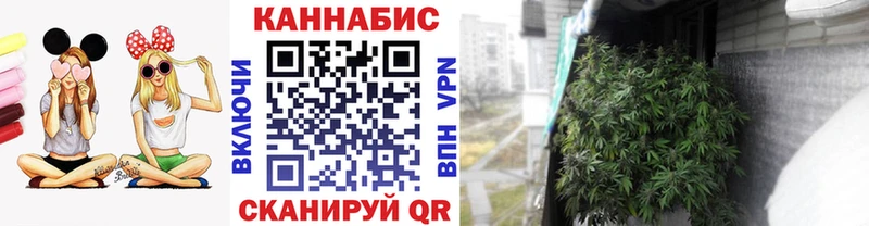 Купить где  Ставрополь  МАРИХУАНА Ganja 